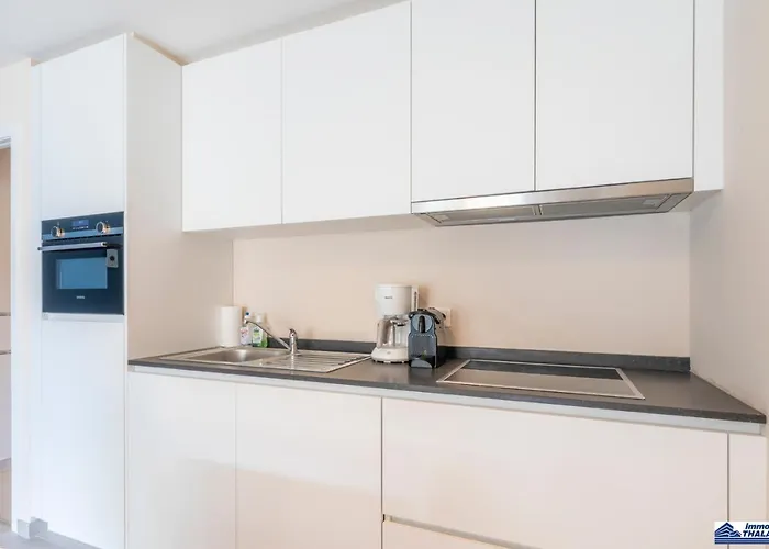 Le Roulis 0501 - 2 Bedrooms 6p - Near The Sea And Promenade Apartment