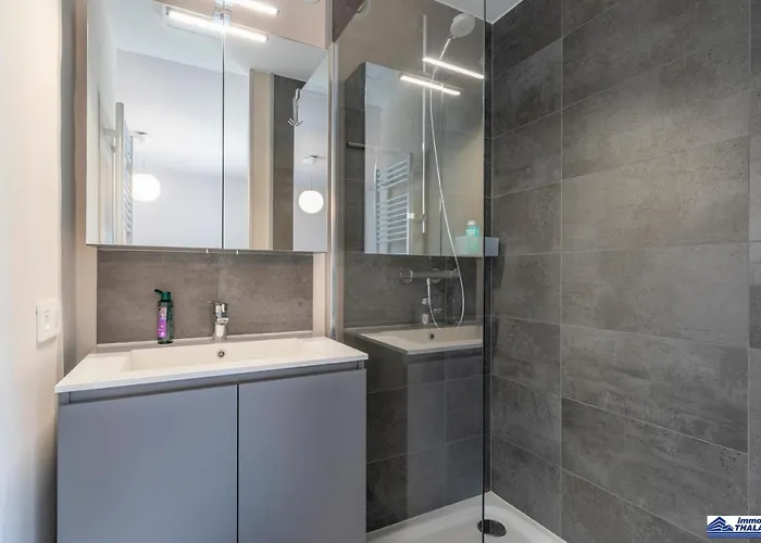 Le Roulis 0501 - 2 Bedrooms 6p - Near The Sea And Promenade *